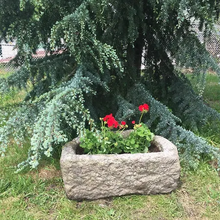O Candil De Santa Ana Venkovský dům Pontevedra